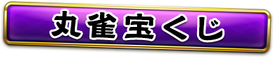 �ݿ�������